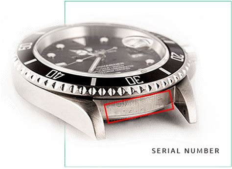 anno rolex codice|rolex serial number lookup.